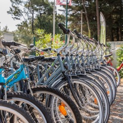 Camping Le Bois de la Gachere