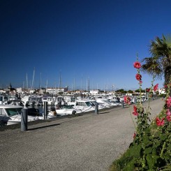 Camping Le Bois de la Gachere