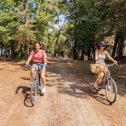 Camping Le Bois de la Gachere