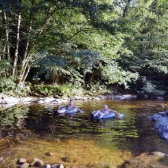 Camping l'Ardéchois